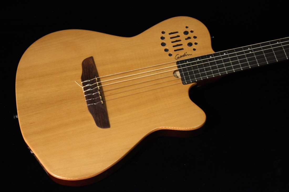 Godin ACS-SA Nylon - NA