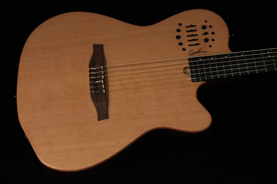 Godin ACS-SA Nylon Slim - NA