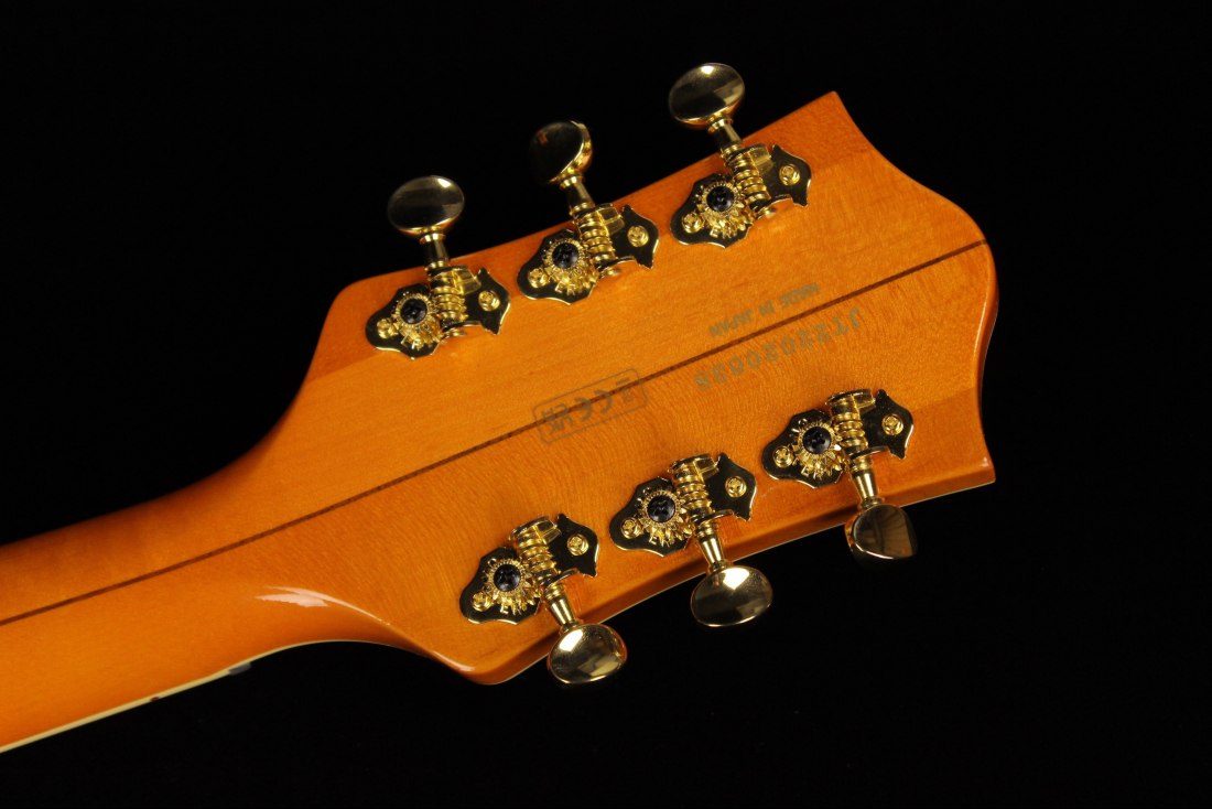 Gretsch G6120T-55 Vintage Select Edition '55 Chet Atkins
