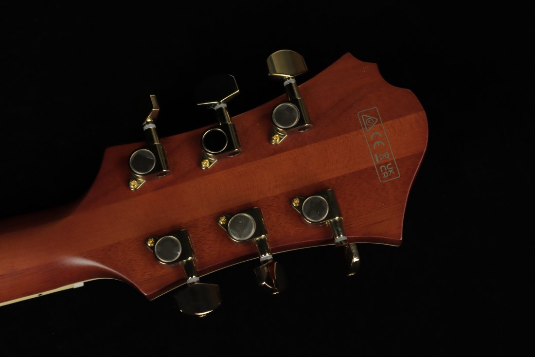 Ibanez PM3C-NAL Pat Metheny Signature