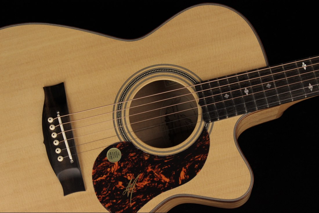 Maton EBG808C Michael Fix