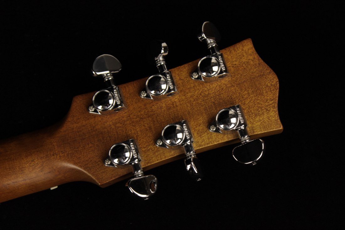 Maton EBG808TE