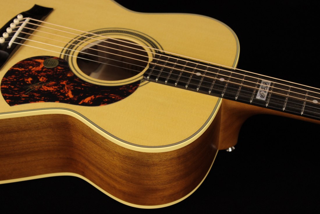 Maton EBG808TE