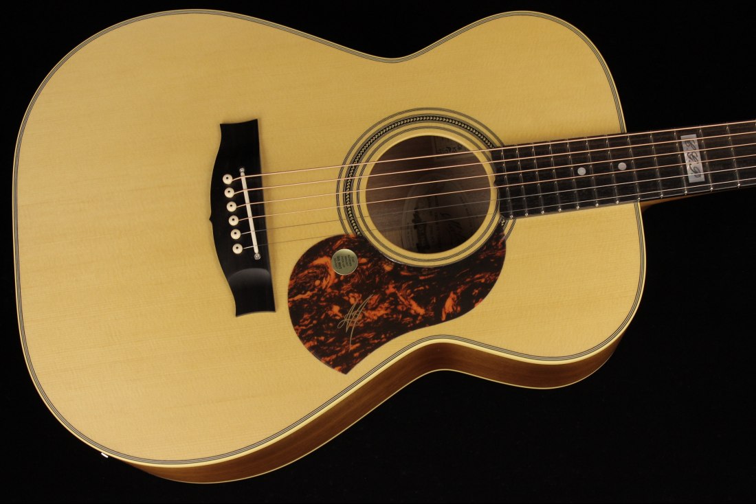 Maton EBG808TE