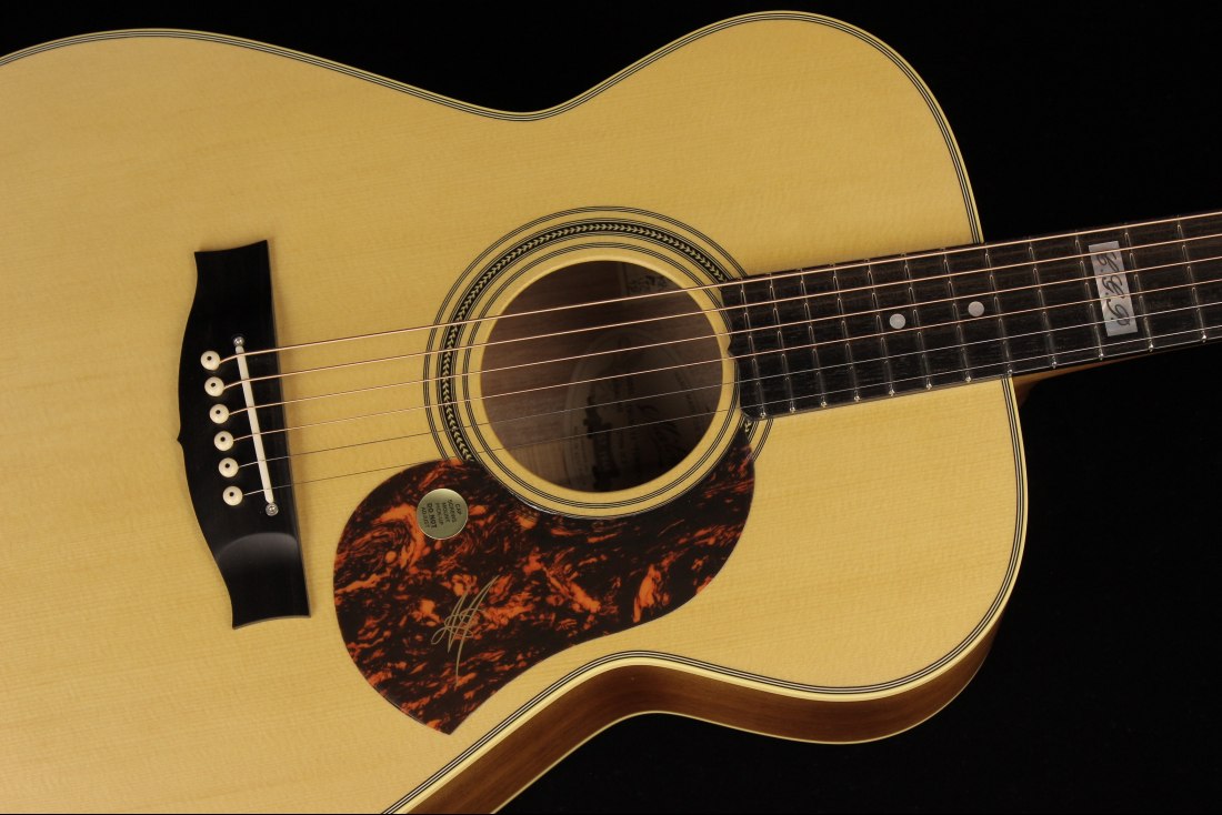 Maton EBG808TE