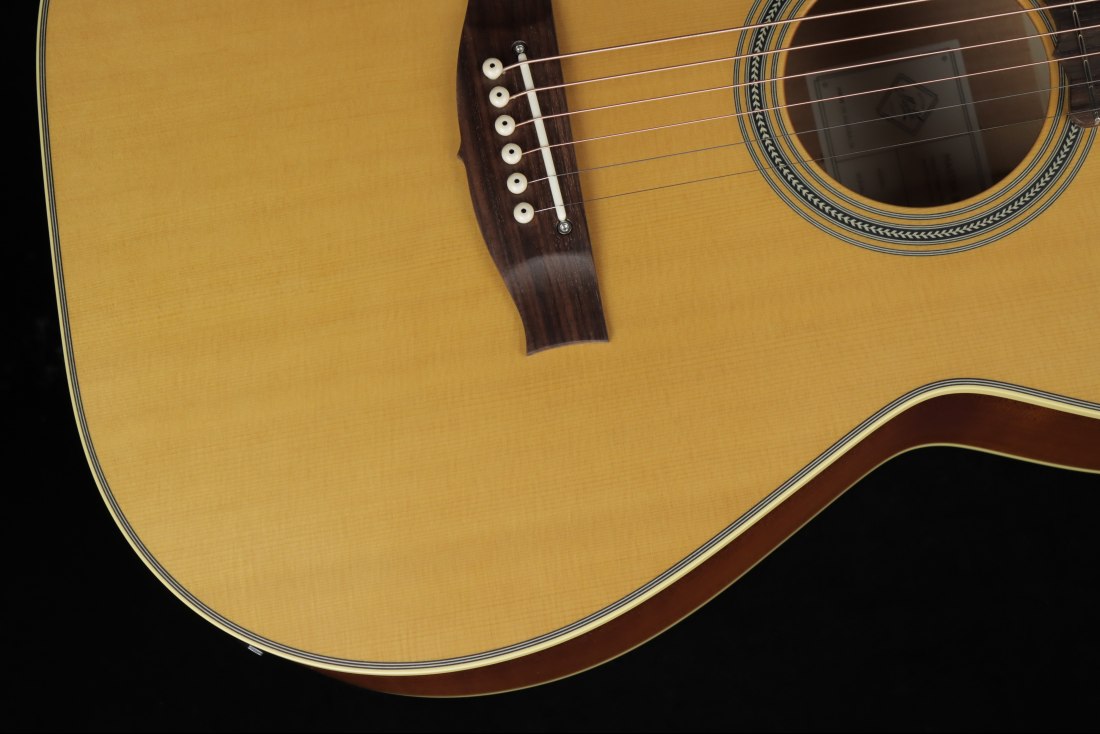 Maton Master Built T.E. Personal