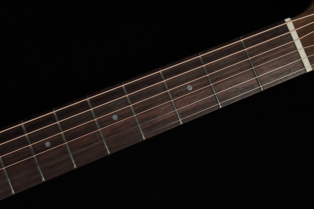 Maton Master Built T.E. Personal