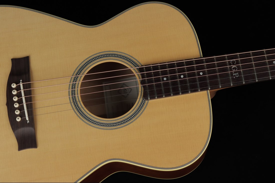 Maton Master Built T.E. Personal