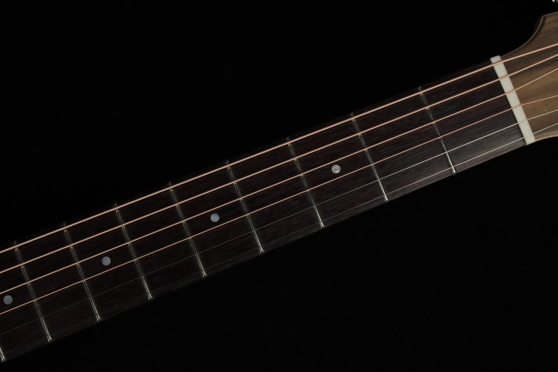Maton Master Built T.E. Personal