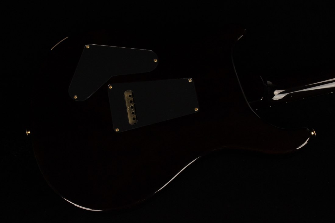 Paul Reed Smith 35th Anniversary Custom 24 10-Top (1-Piece Top) - BGW