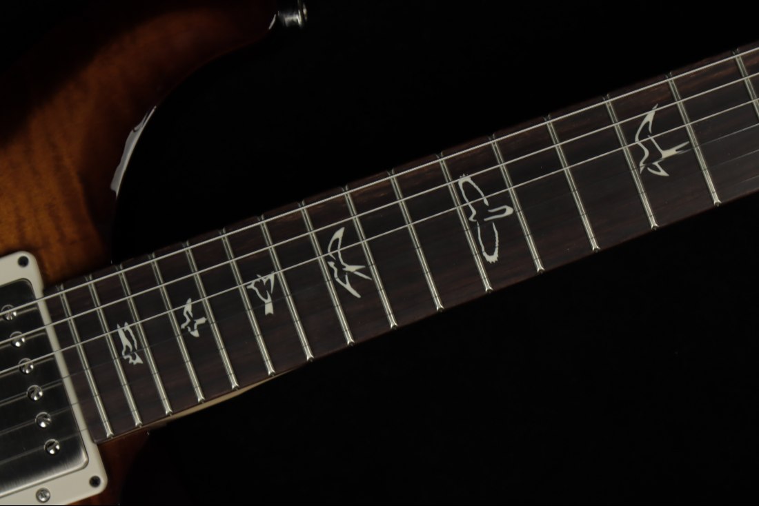 Paul Reed Smith CE22 Limited Edition - BA
