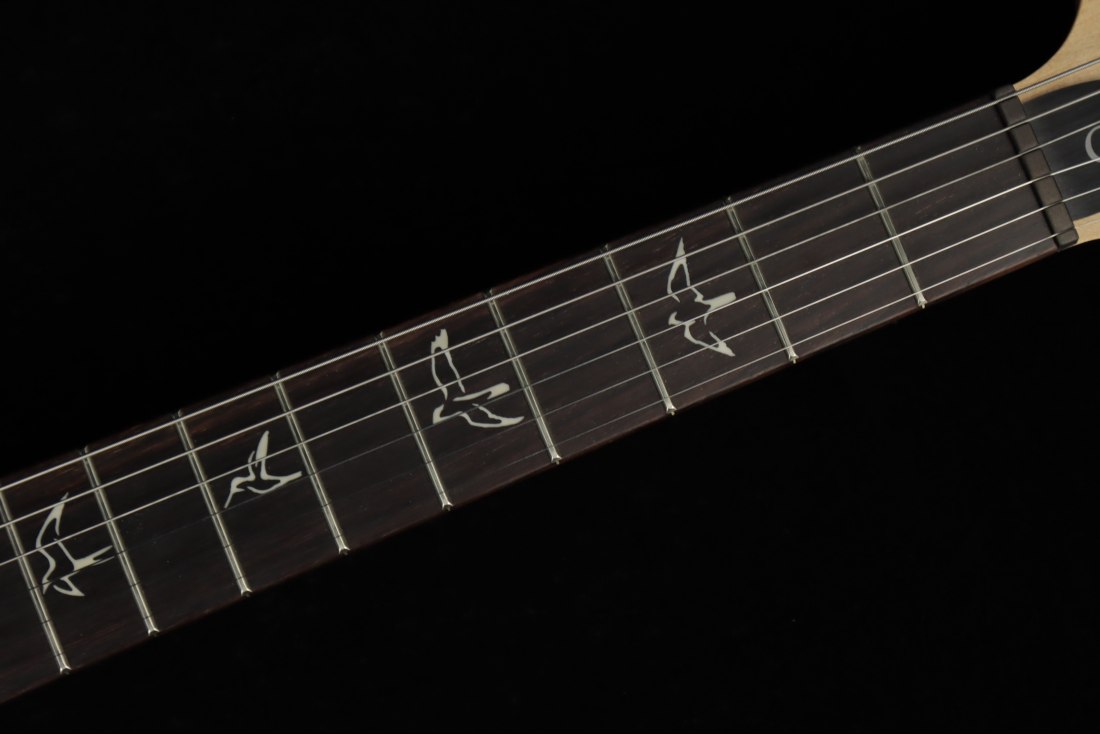 Paul Reed Smith CE22 Limited Edition - BA