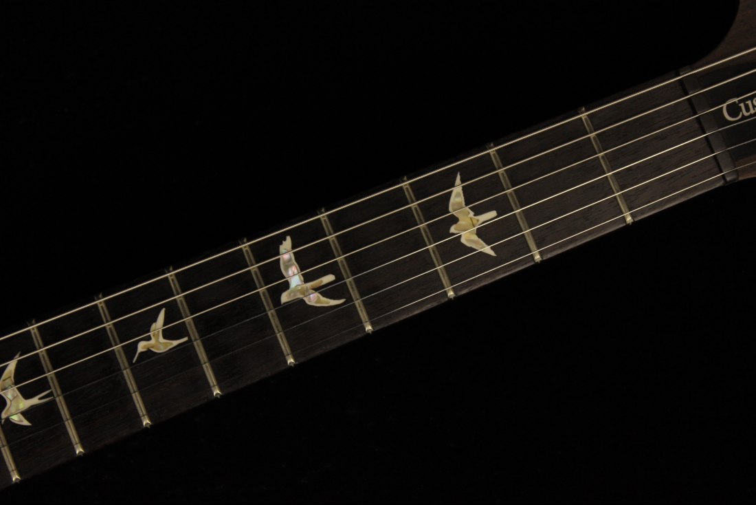 Paul Reed Smith Custom 24 10-Top - AQM