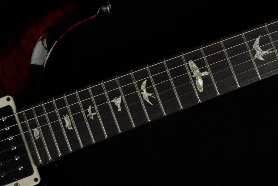 Paul Reed Smith Custom 24 - FSB