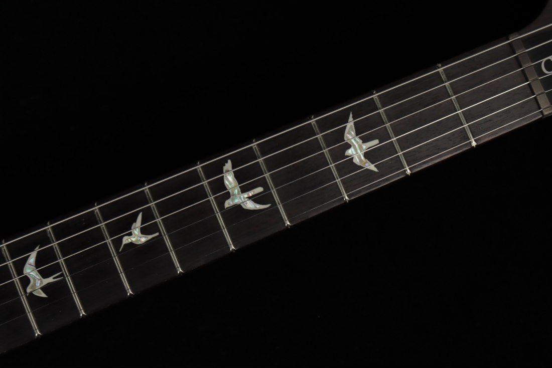 Paul Reed Smith Custom 24 - FSB