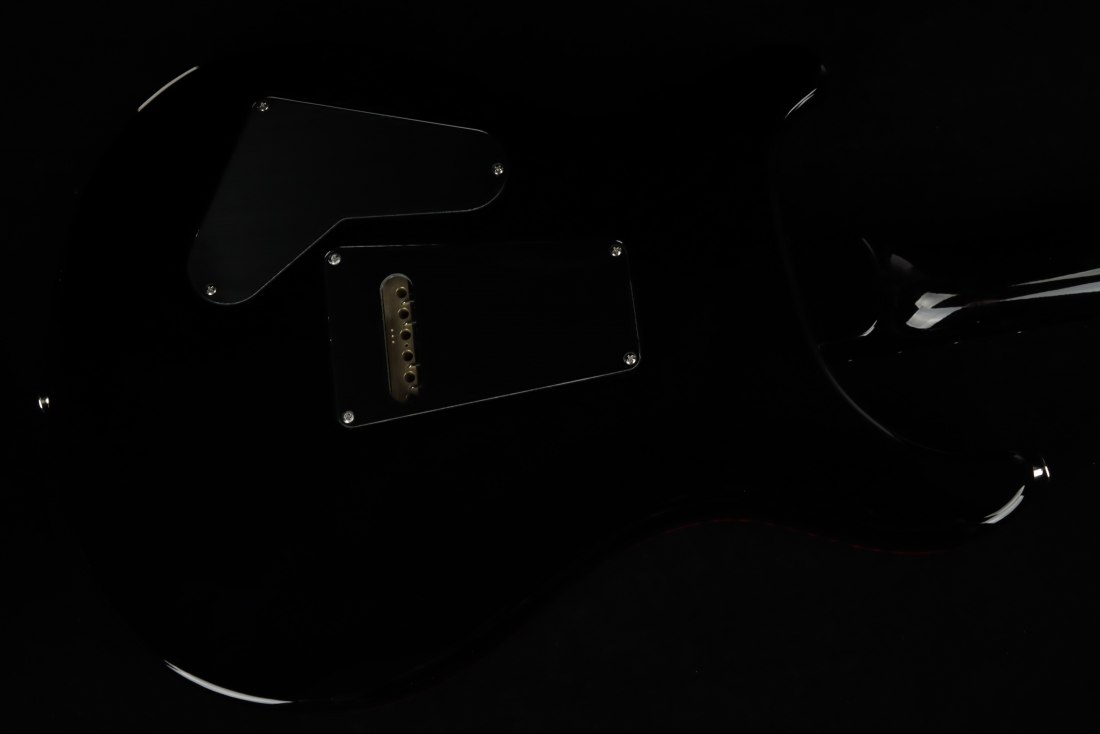 Paul Reed Smith Custom 24 - FSB