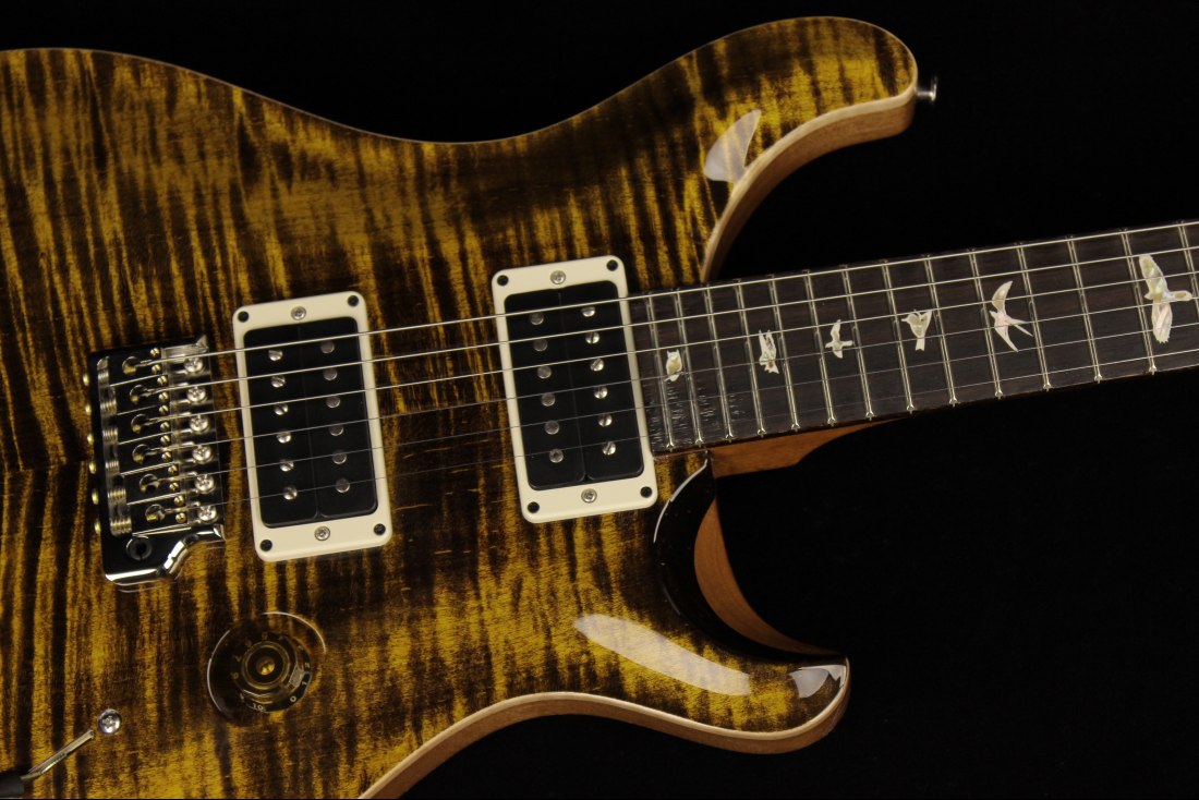 Paul Reed Smith Custom 24 - YTG