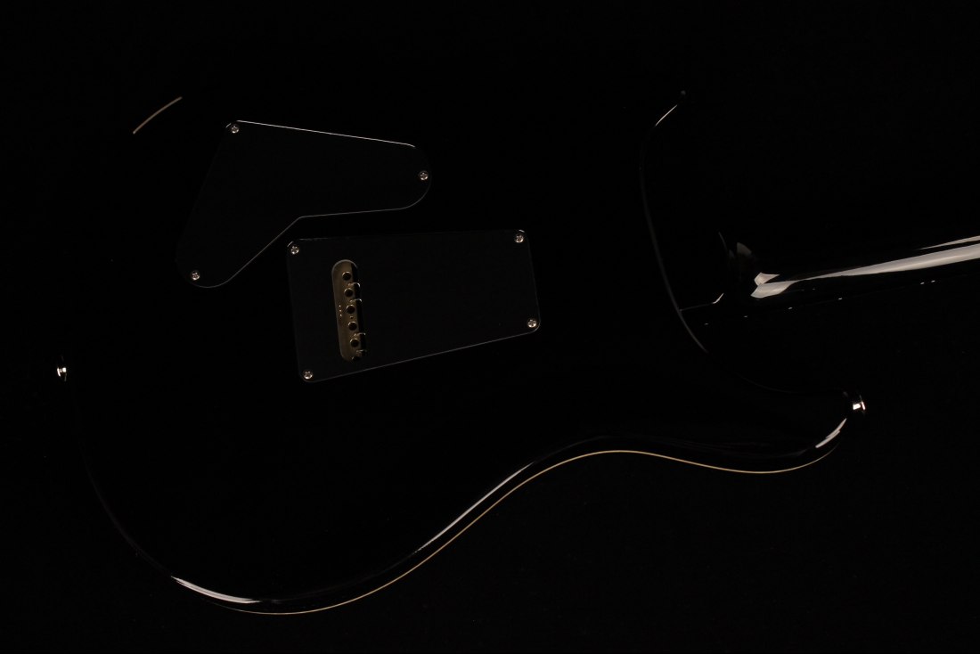 Paul Reed Smith Custom 24 - PPM