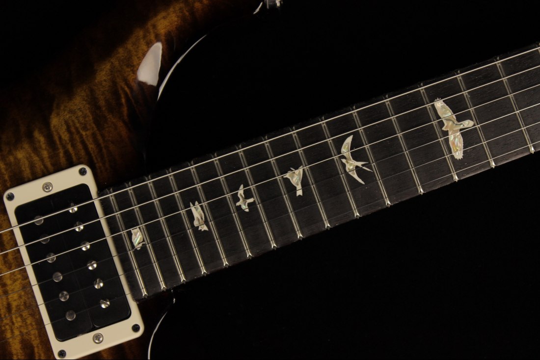 Paul Reed Smith Custom 24 - BGB