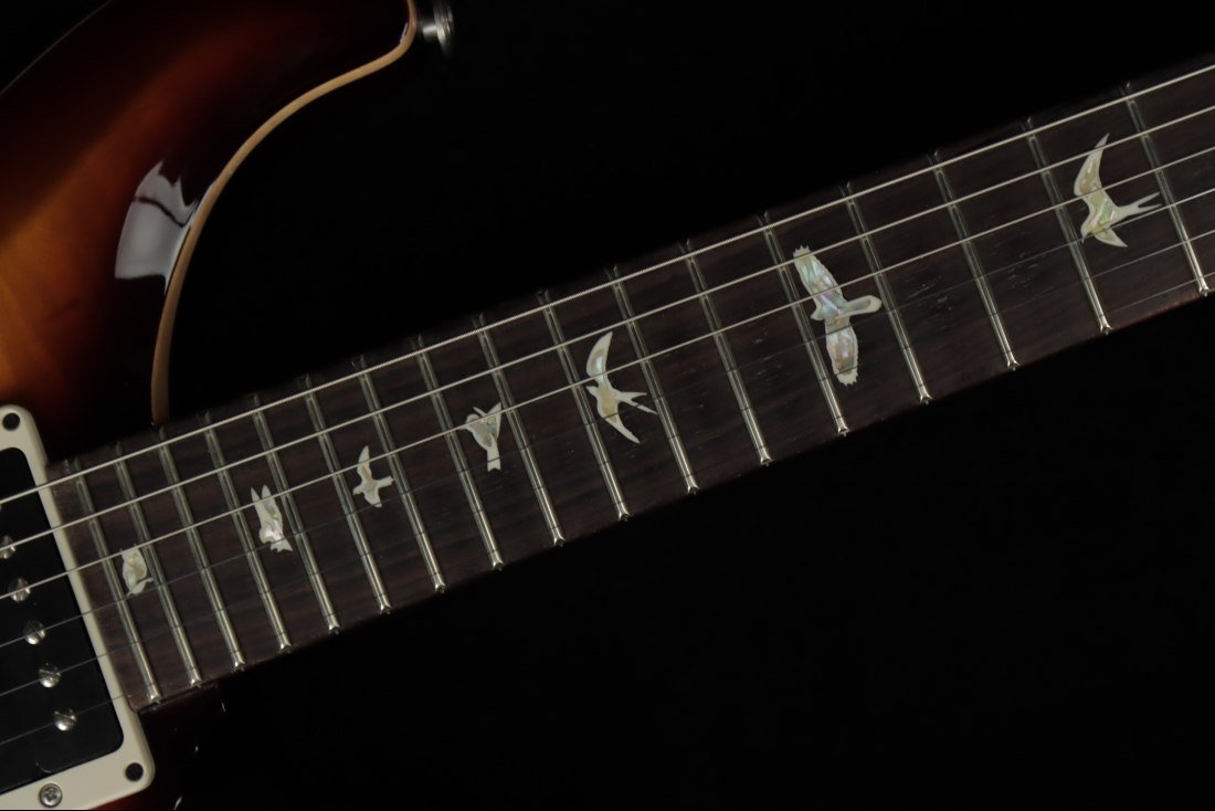 Paul Reed Smith Custom 24 - MCS