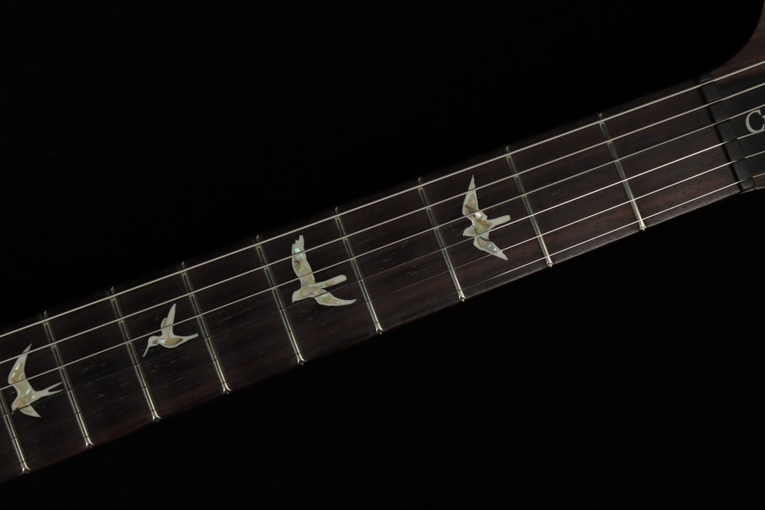 Paul Reed Smith Custom 24 - MCS