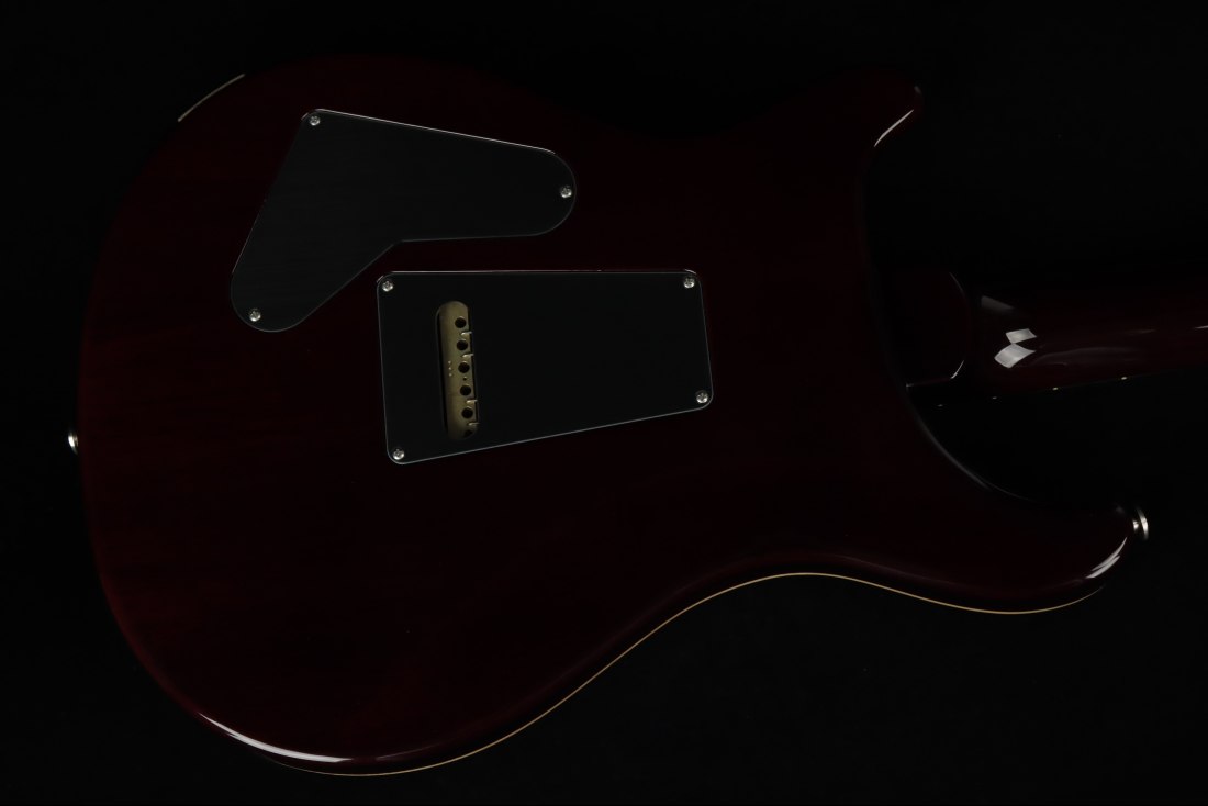 Paul Reed Smith Custom 24 - MCS
