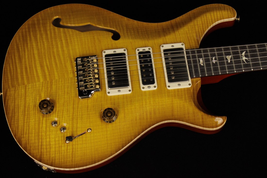 Paul Reed Smith Special Semi-Hollow 10-Top - MCS