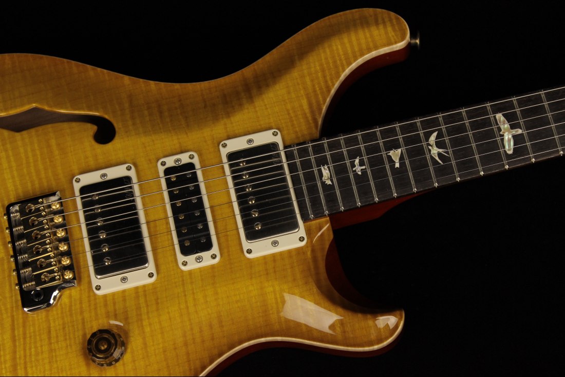 Paul Reed Smith Special Semi-Hollow 10-Top - MCS