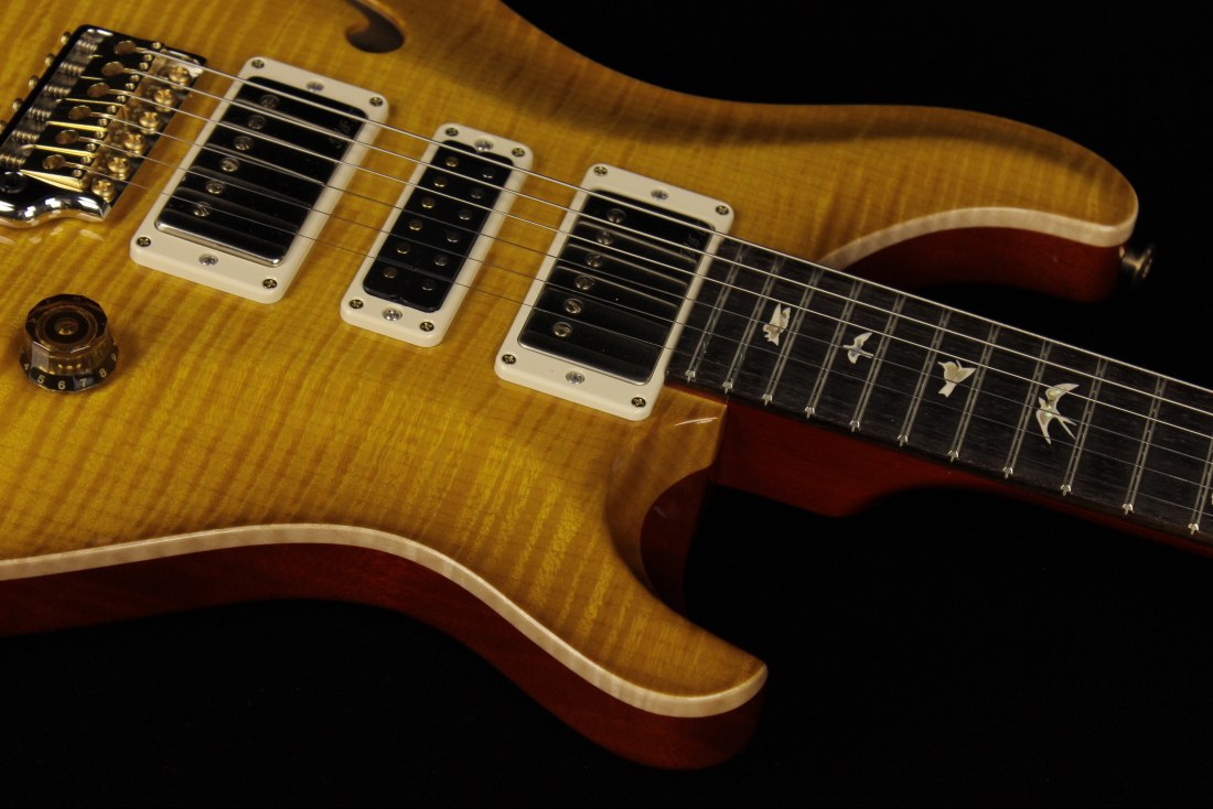 Paul Reed Smith Special Semi-Hollow 10-Top - MCS