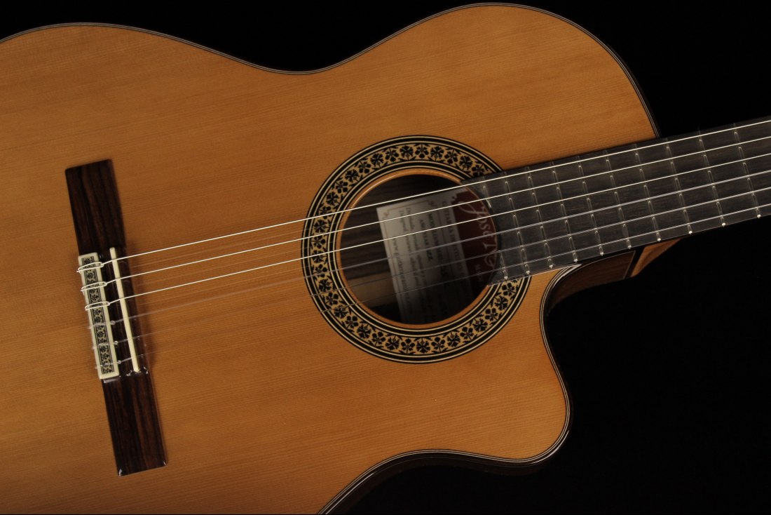 Ramirez Cut 2 w/Fishman Prefix Pro Blend