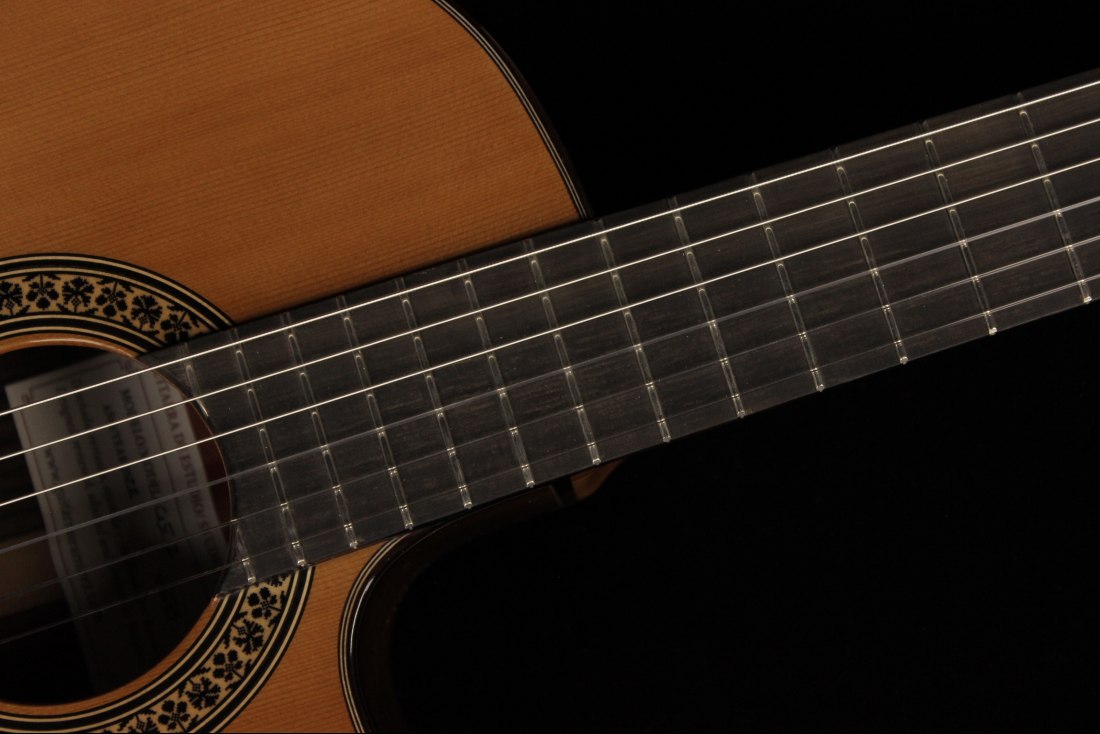 Ramirez Cut 2 w/Fishman Prefix Pro Blend