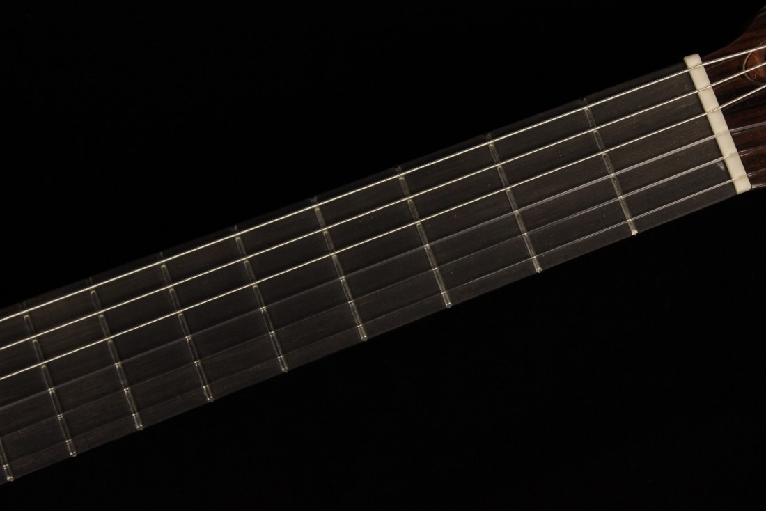 Ramirez Cut 2 w/Fishman Prefix Pro Blend