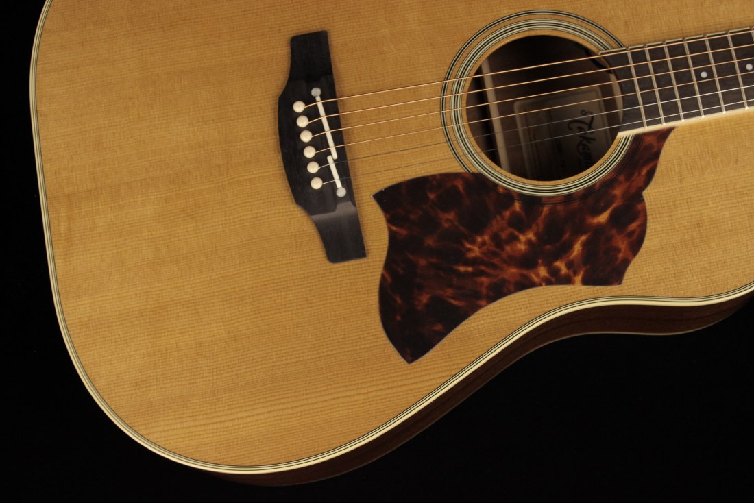 Takamine CRN-TS1 Thermal Top