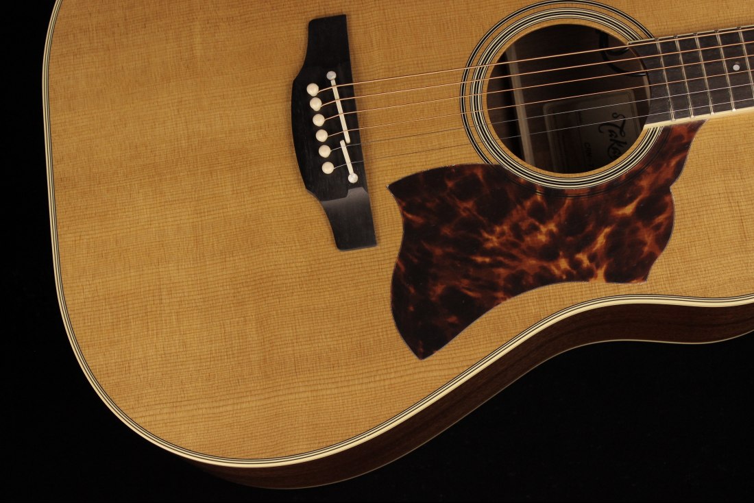 Takamine CRN-TS1 Thermal Top