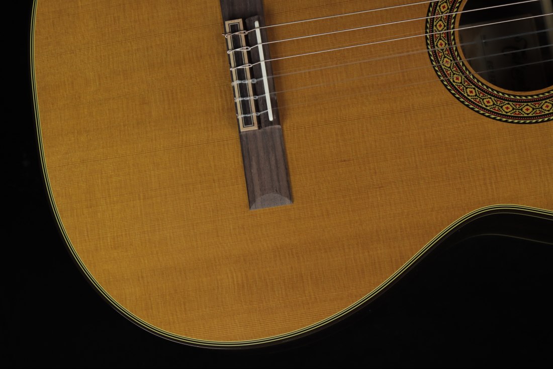 Takamine EC132SC