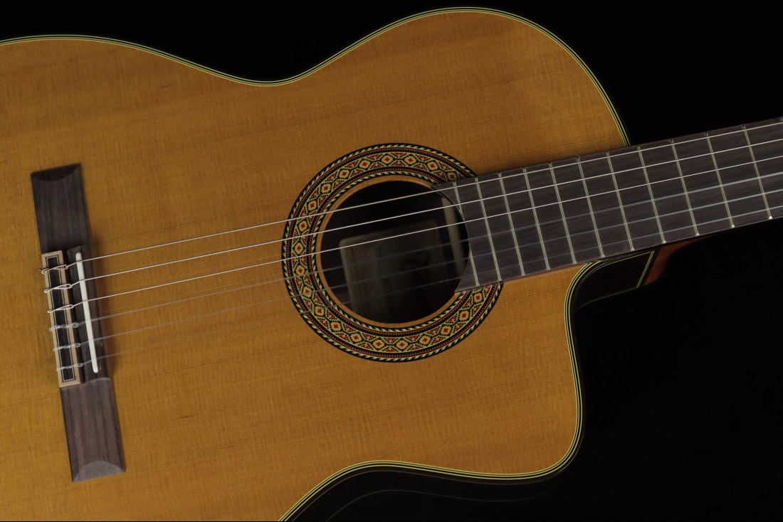 Takamine EC132SC