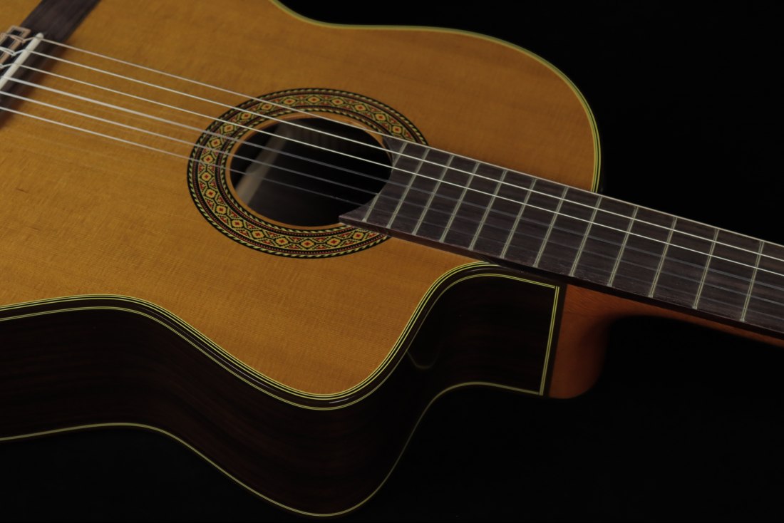 Takamine EC132SC