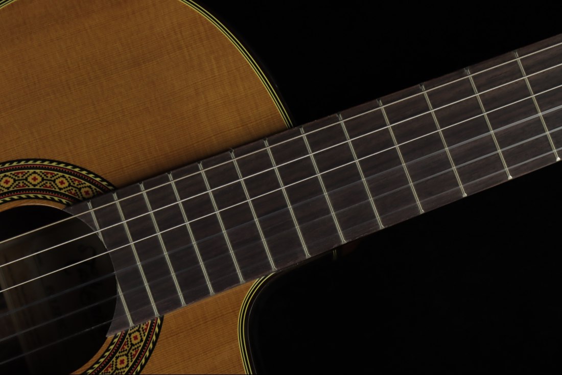 Takamine EC132SC