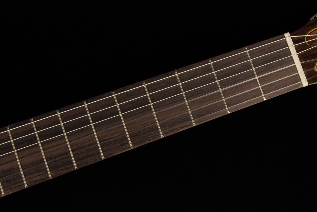 Takamine TC132SC