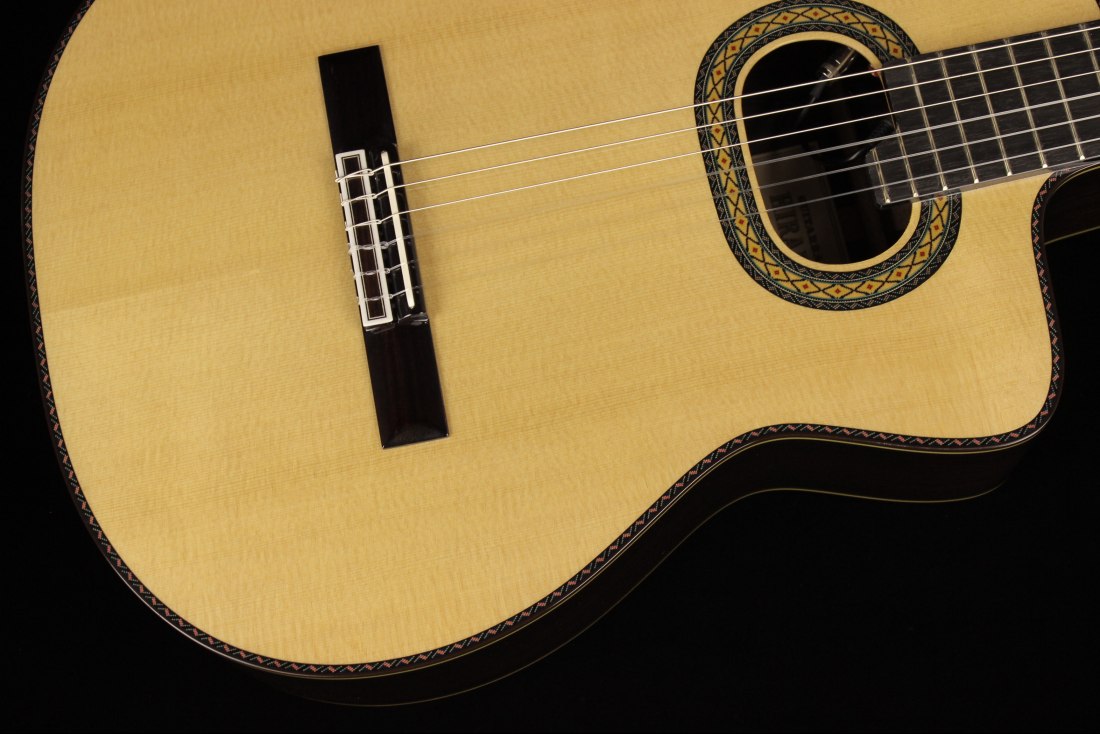 Takamine TH90 Hirade