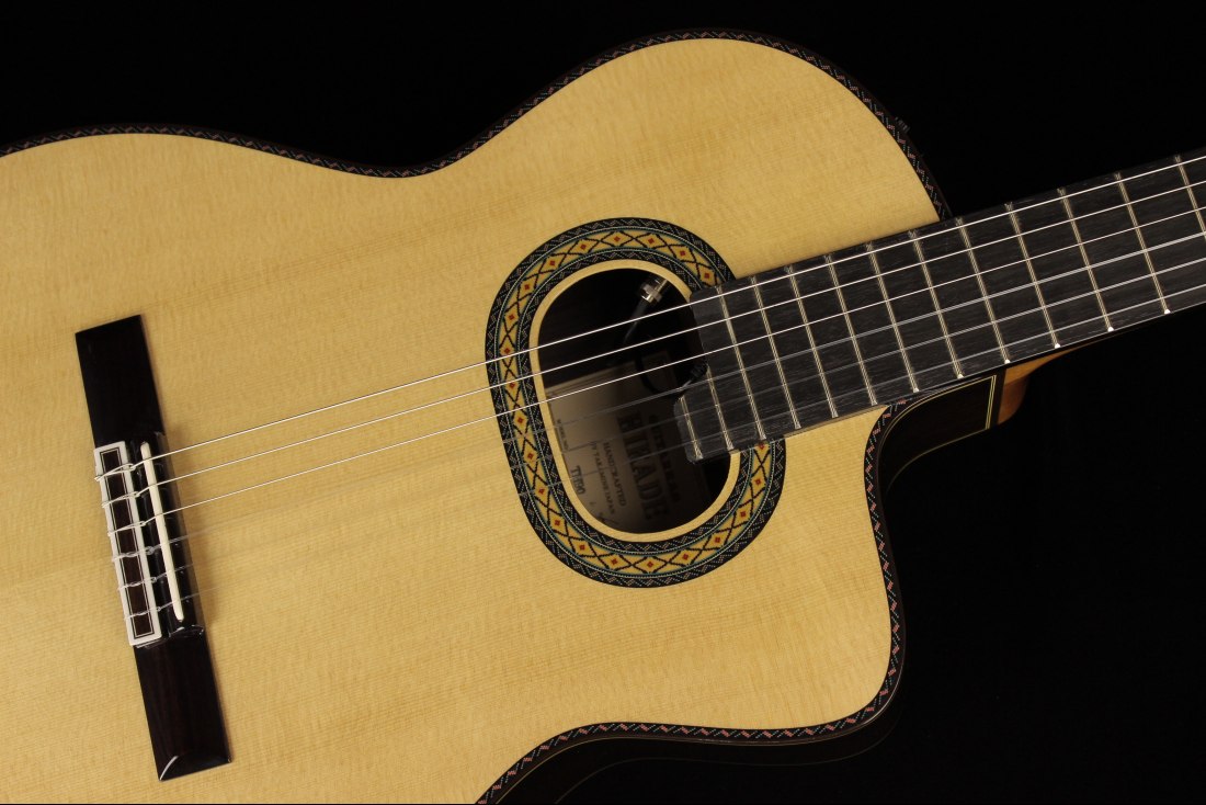 Takamine TH90 Hirade