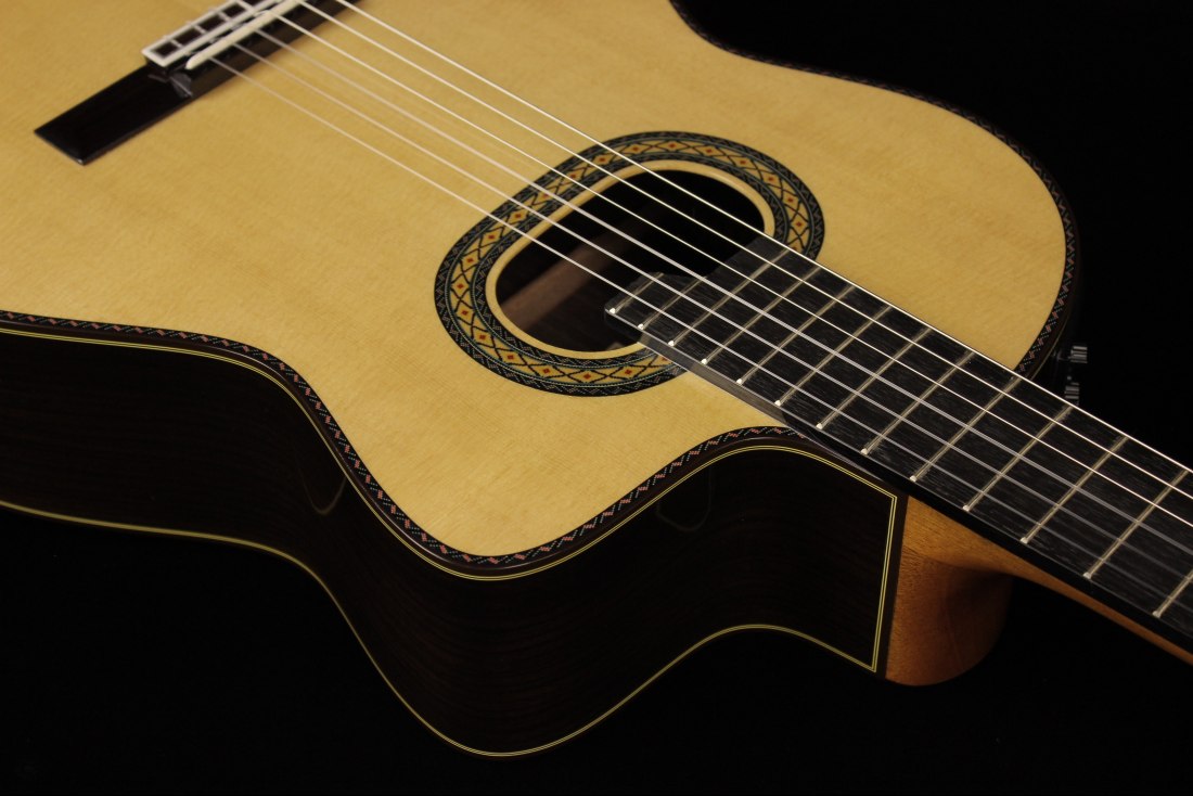 Takamine TH90 Hirade