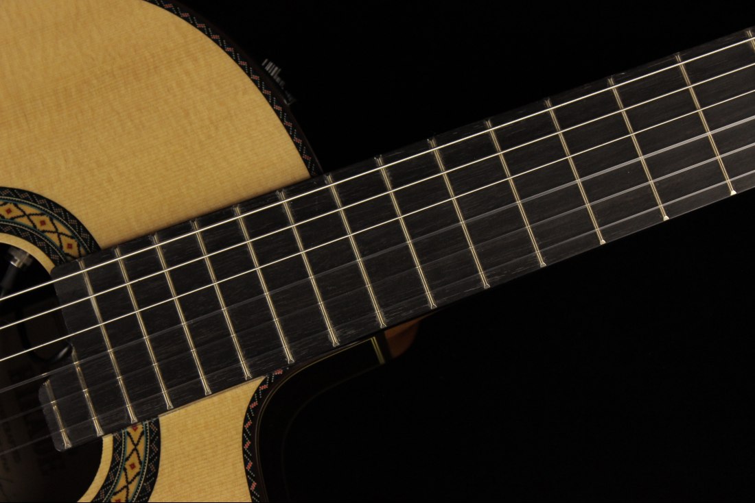 Takamine TH90 Hirade