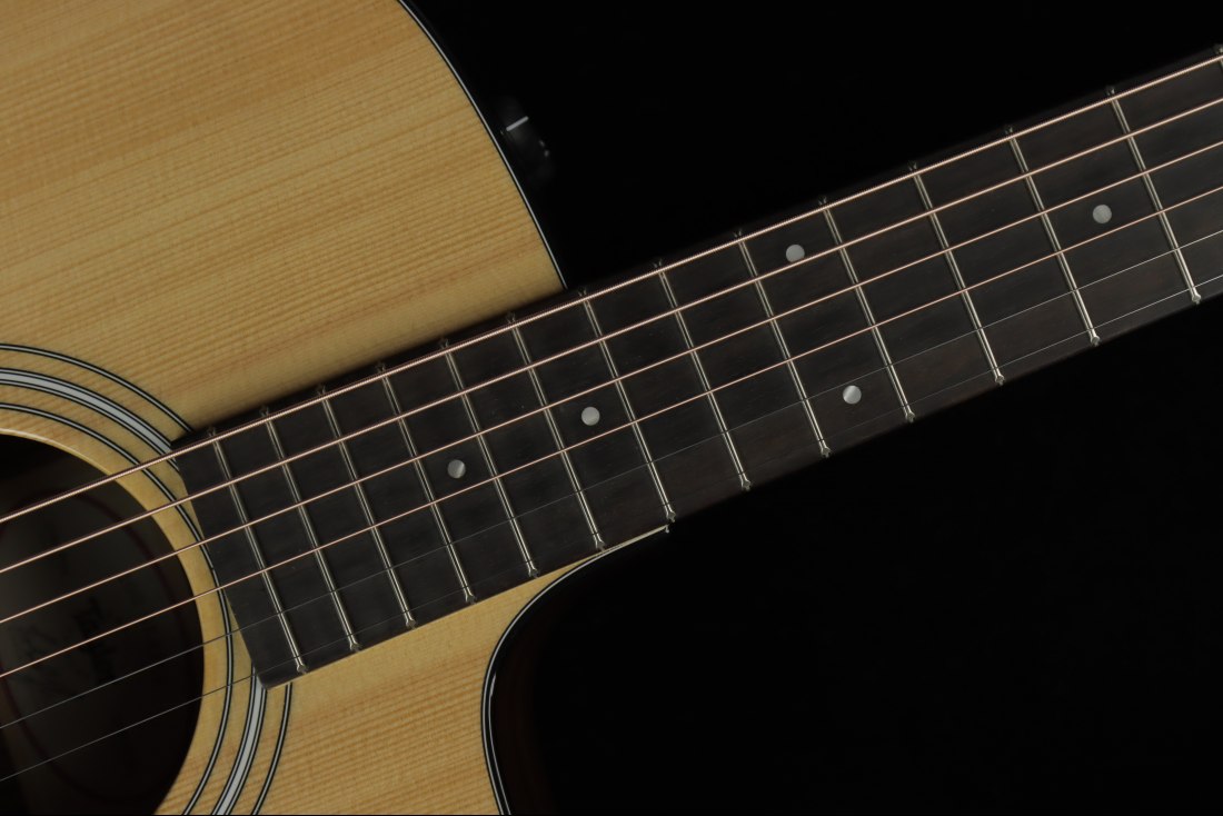 Taylor 210ce Plus