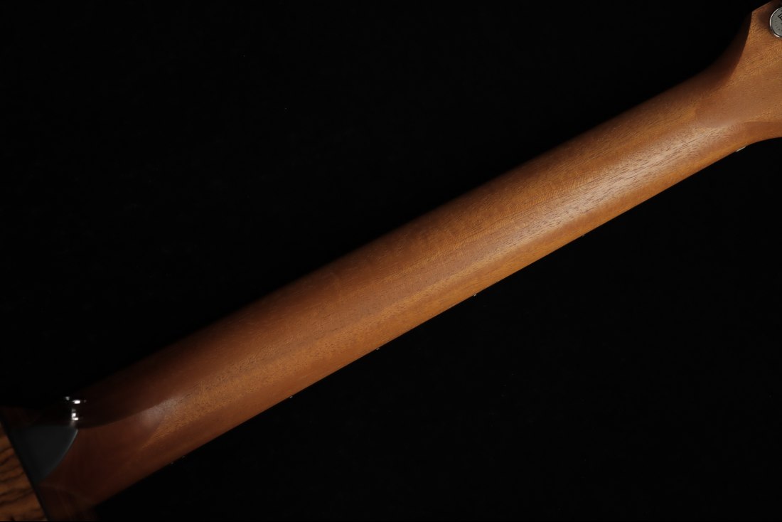 Taylor 210ce Plus