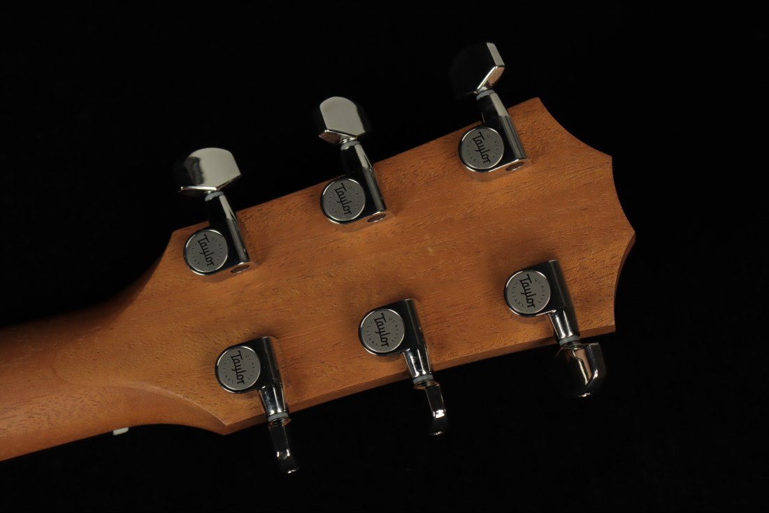 Taylor 210ce Plus