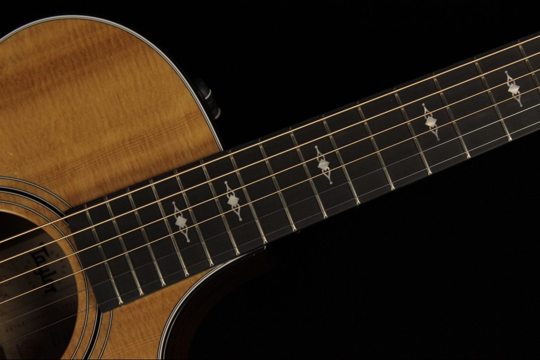 Taylor 312ce V-Class Bracing