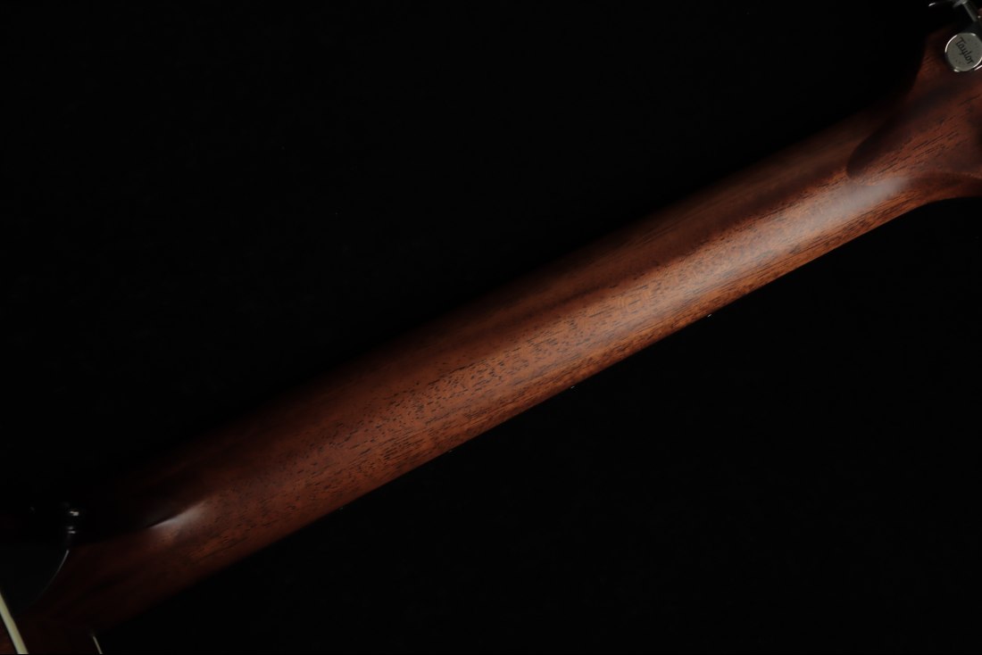 Taylor 314c The Last of Us Replica