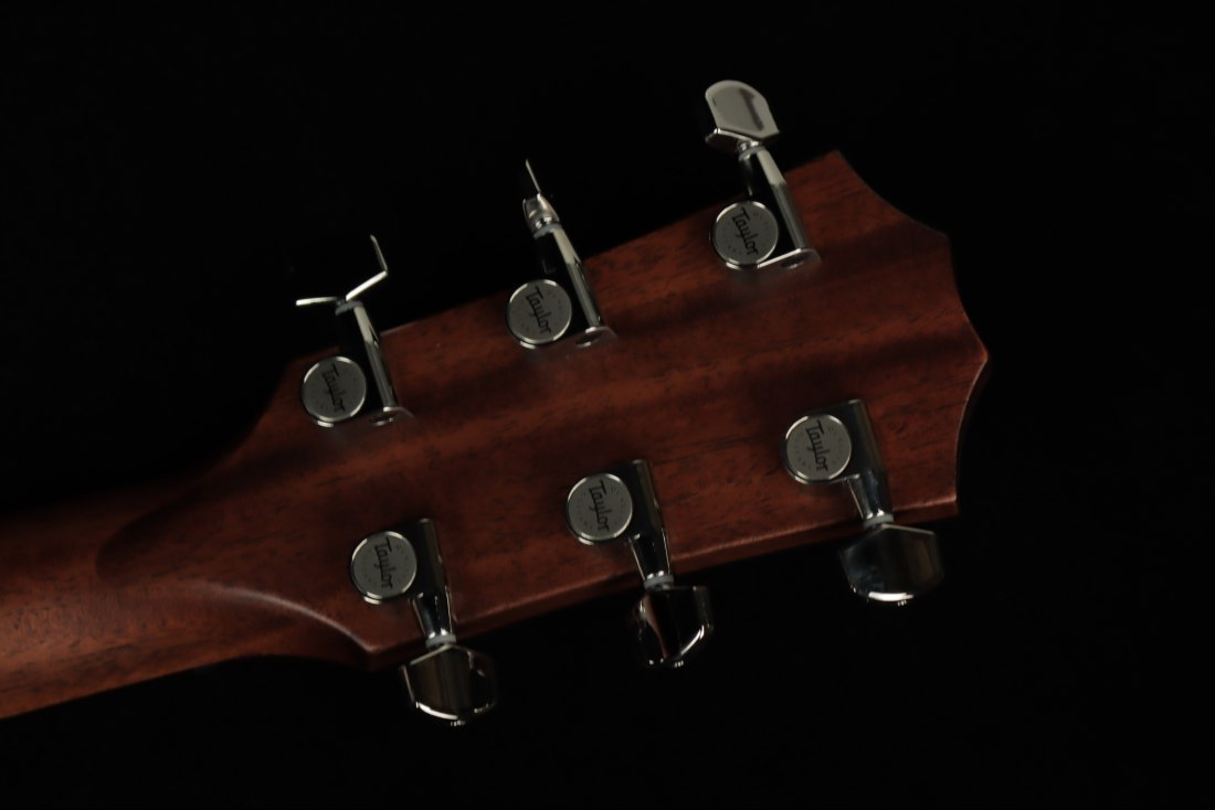 Taylor 314c The Last of Us Replica