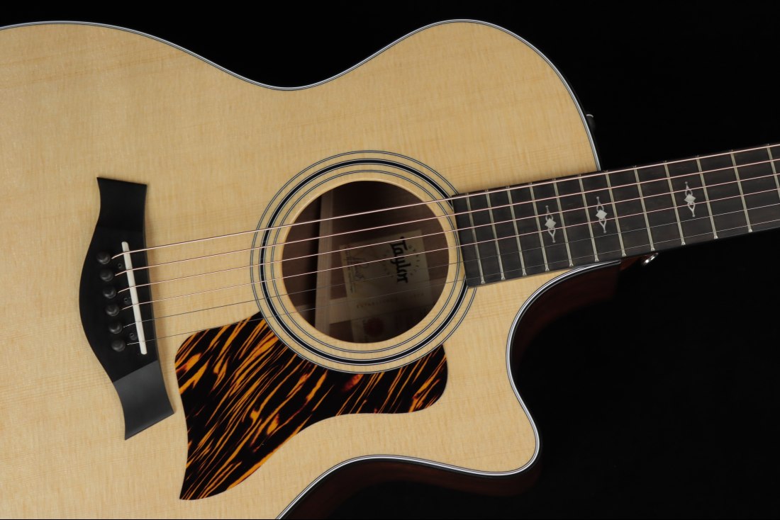 Taylor 314ce